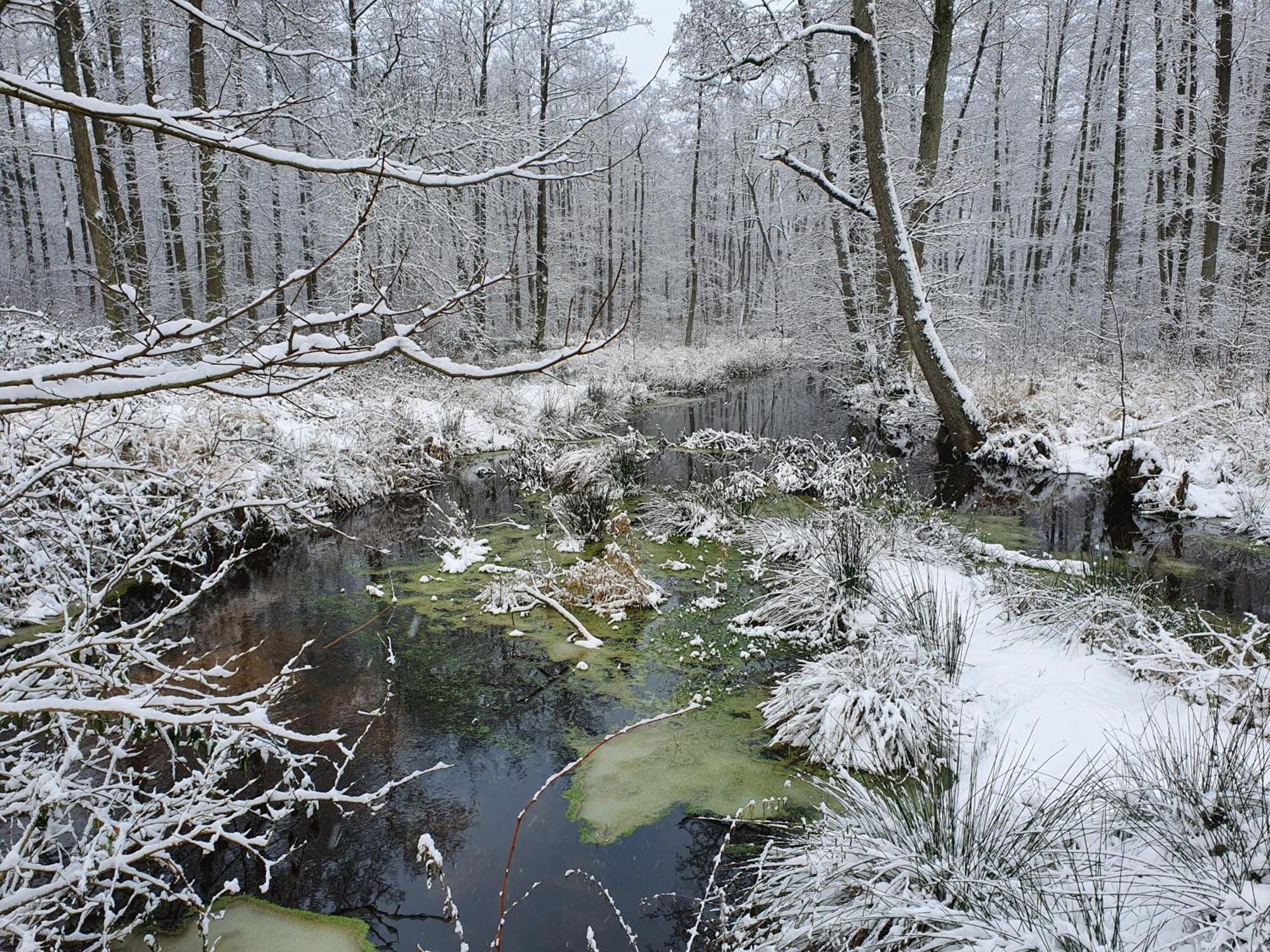 Przybiernów Ranczo Annabellaヴィラ エクステリア 写真